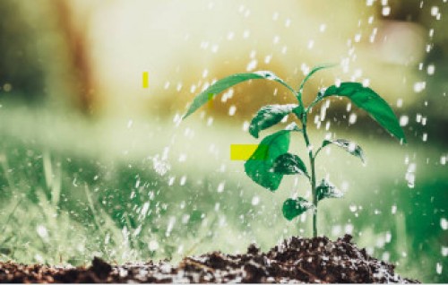 LƯỢNG NƯỚC TƯỚI CHO CÂY TRỒNG  SẦU RIÊNG TẠI GIA LAI