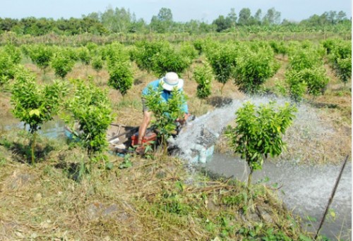 LƯỢNG NƯỚC TƯỚI  CHO CÂY  TRỒNG SẦU RIÊNG TẠI BÌNH DƯƠNG   