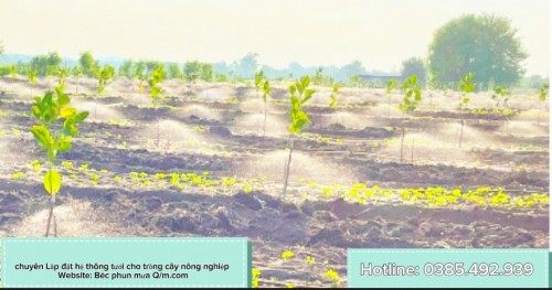 Lượng nước  cho cây  trồng ăn quả  