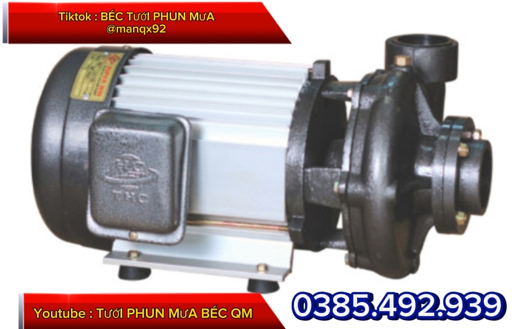 máy bơm giá rẻ trong heegj thống tưới sầu riêng