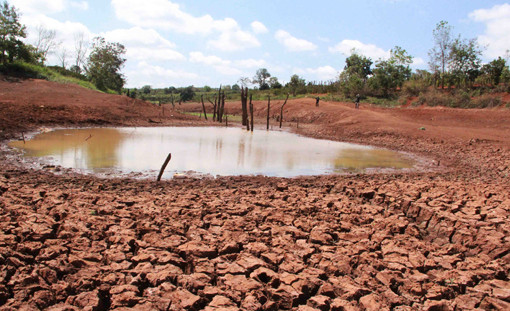 béc tưới cho địa hình dốc tại đăk lăk