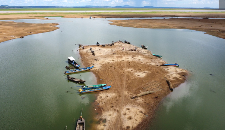 béc tưới cho cây sầu riêng giá rẻ tại đồng nai