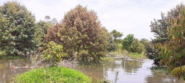 béc tưới giá rẻ tại tây ninh