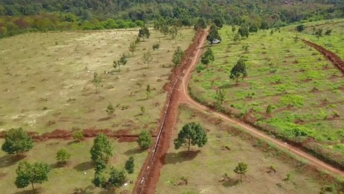 Cách chọn béc tưới cho sầu riêng mùa khô hạn tại ĐẮK NÔNG