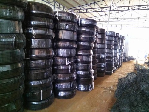 ỐNG LDPE HIỆU QUẢ TRONG HỆ THỐNG TƯỚI PHUN MƯA 