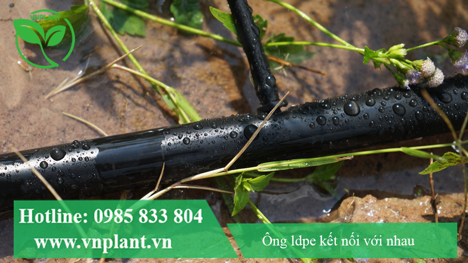 Kêt nóip giữa 2 ống ldpe có kích thước khác nhau