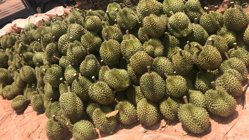 BÉC TƯỚI CÂY GIÁ RẺ Ở HUYỆN GÒ DẦU TÂY NINH