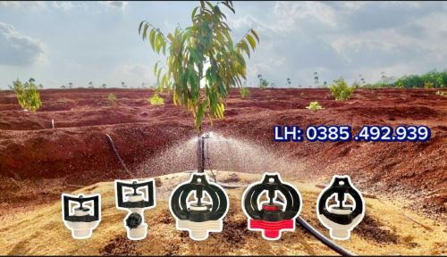 5 BÉC TƯỚI PHUN MƯA TỐT NHẤT CHO SẦU RIÊNG TẠI  TÂY NINH