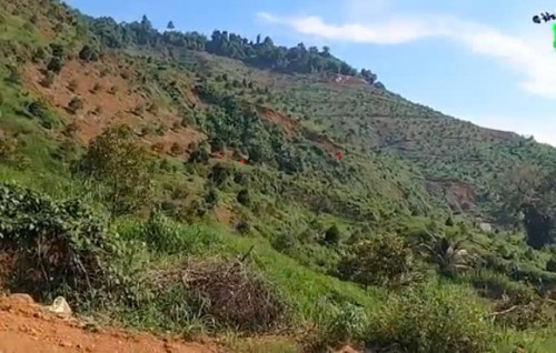 Hướng dẫn Tưới phun mưa sầu riêng đồi dốc