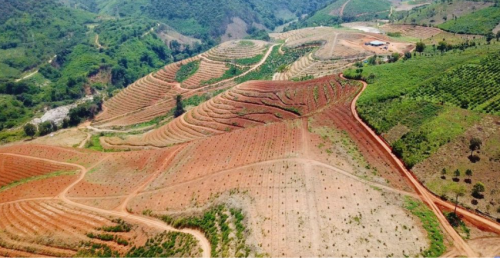 BÉC TƯỚI CÂY GIÁ RẺ TẠI  ĐẮK LẮK