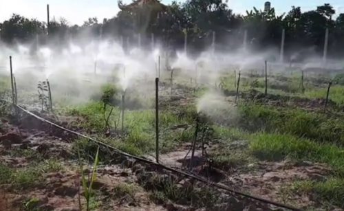 BÉC TƯỚI CÂY GIÁ RẺ VÀ LẮP ĐẶT HỆ THỐNG TƯỚI Ở  HÒA THÀNH TÂY NINH