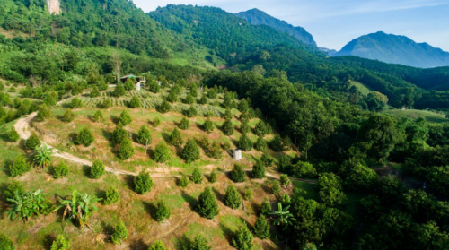 BÉC TƯỚI BÙ ÁP GIÁ RẺ TẠI  Đắk Nông (ĐỊA HÌNH DỐC)